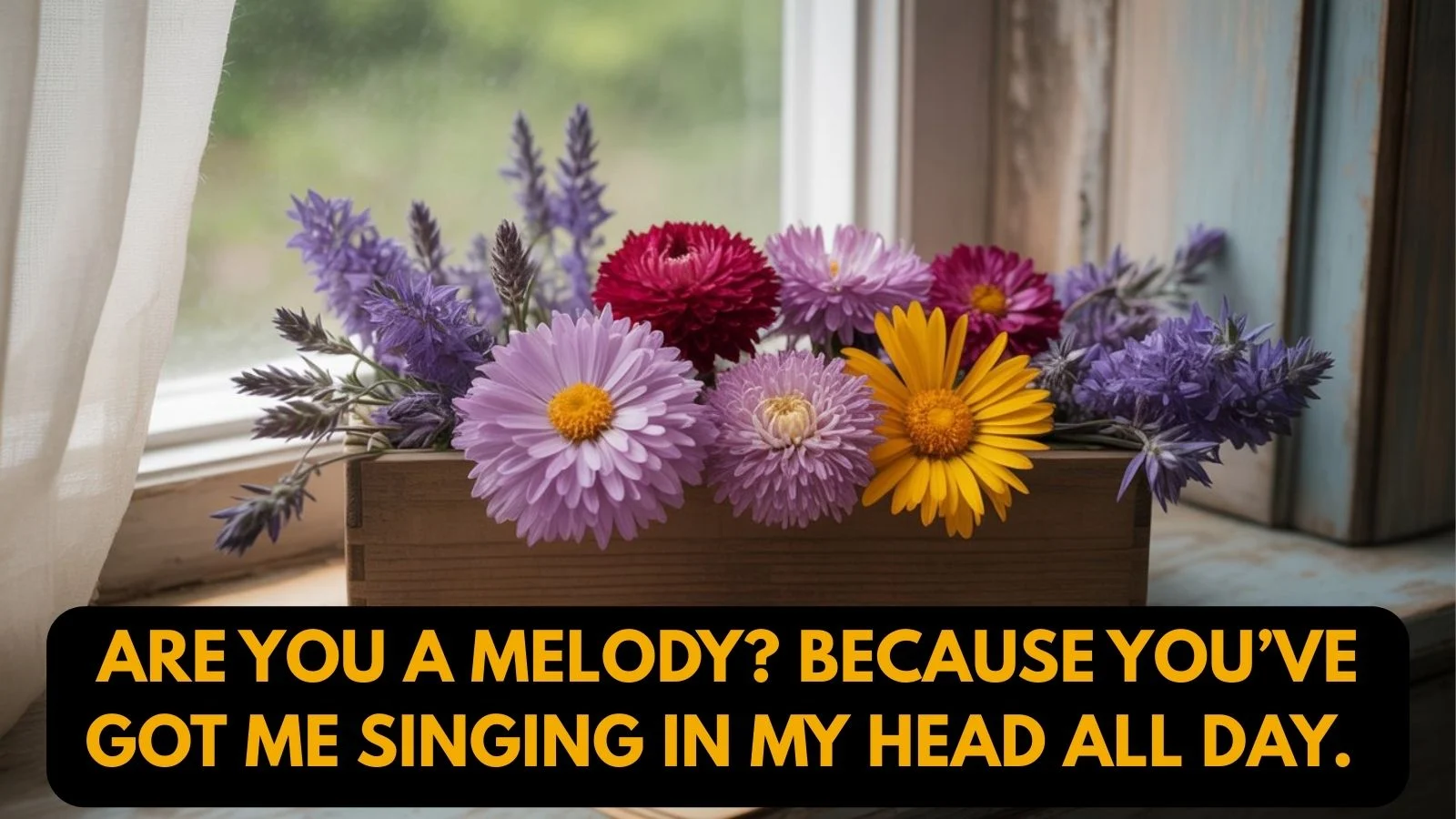 Arianator Pickup Lines
