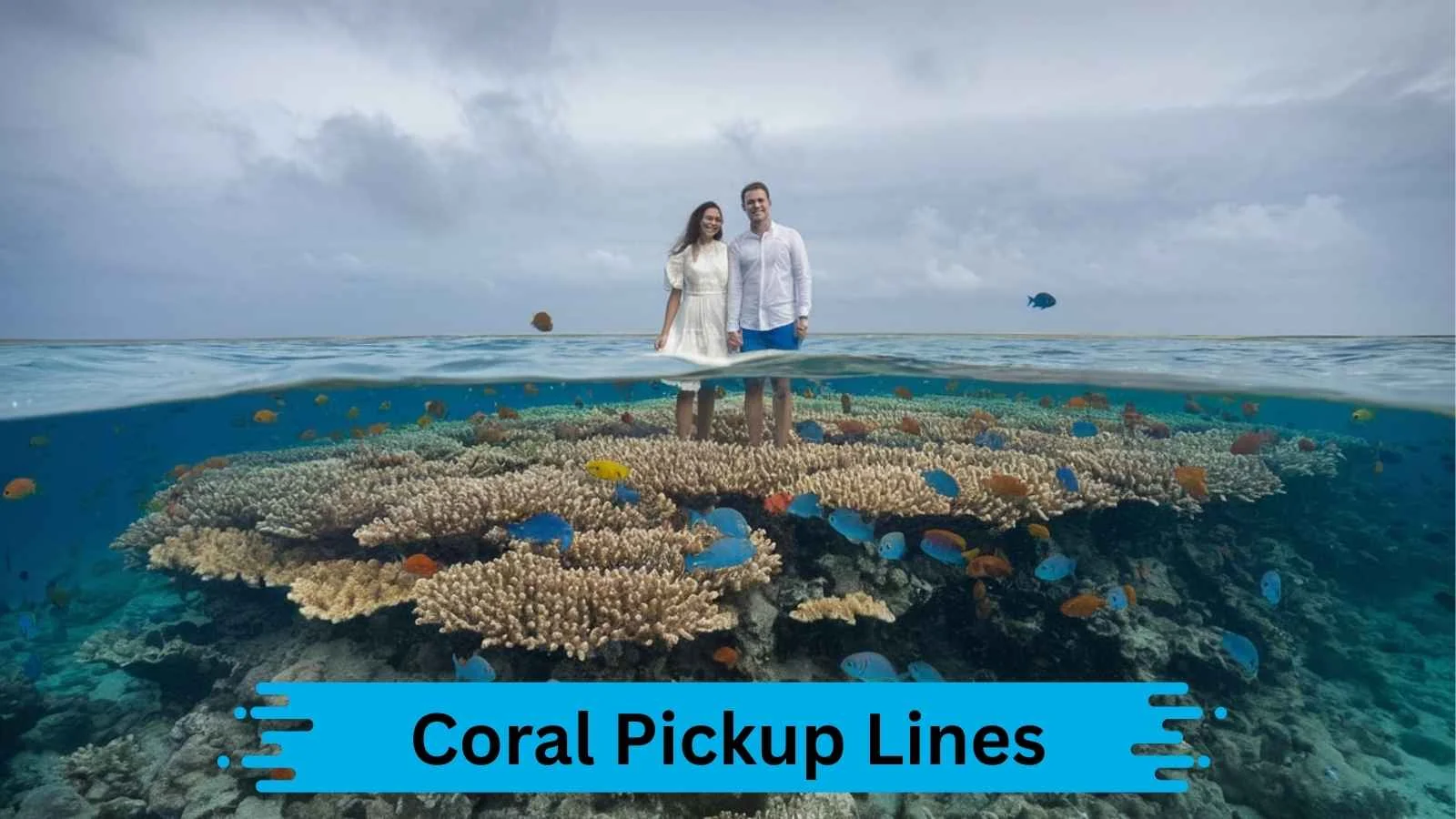 Coral Pickup Lines