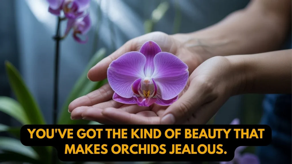 Flirty Orchid