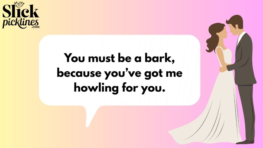 Funny Dog Pickup Lines 