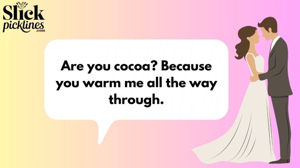 Funny Kitchen Pickup Lines 