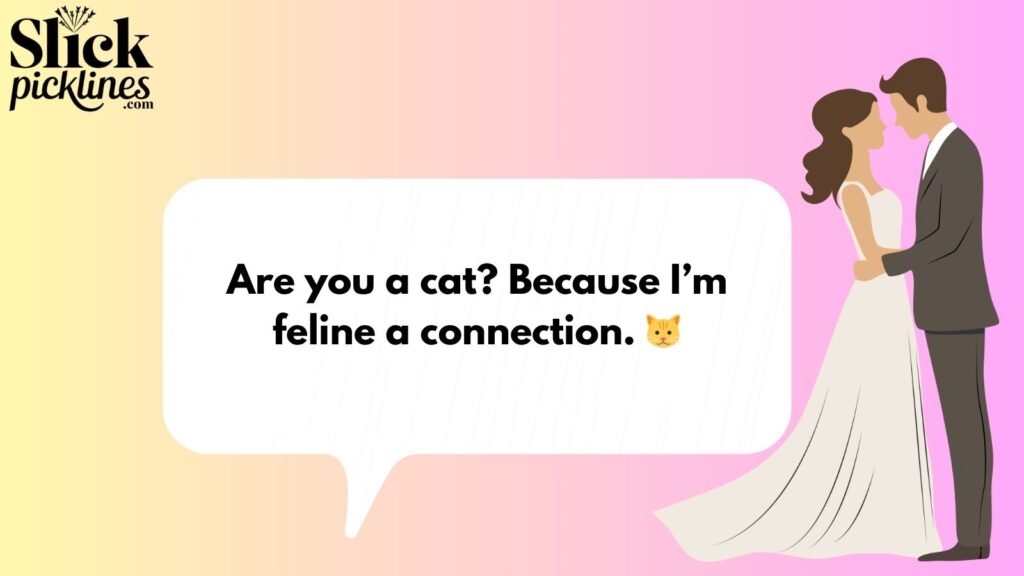 Funny Pickup Lines to Make Them Laugh 