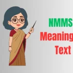 NMMS Meaning in Text