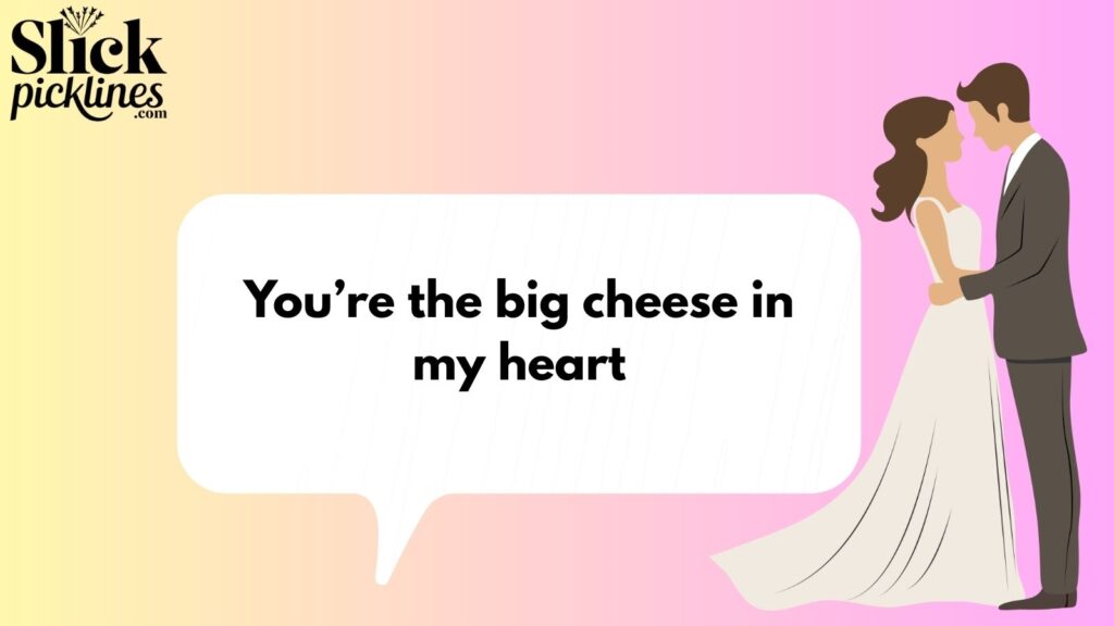 Witty Cheese Pickup Lines